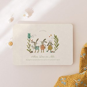 Moulin Roty x Cotton Bird