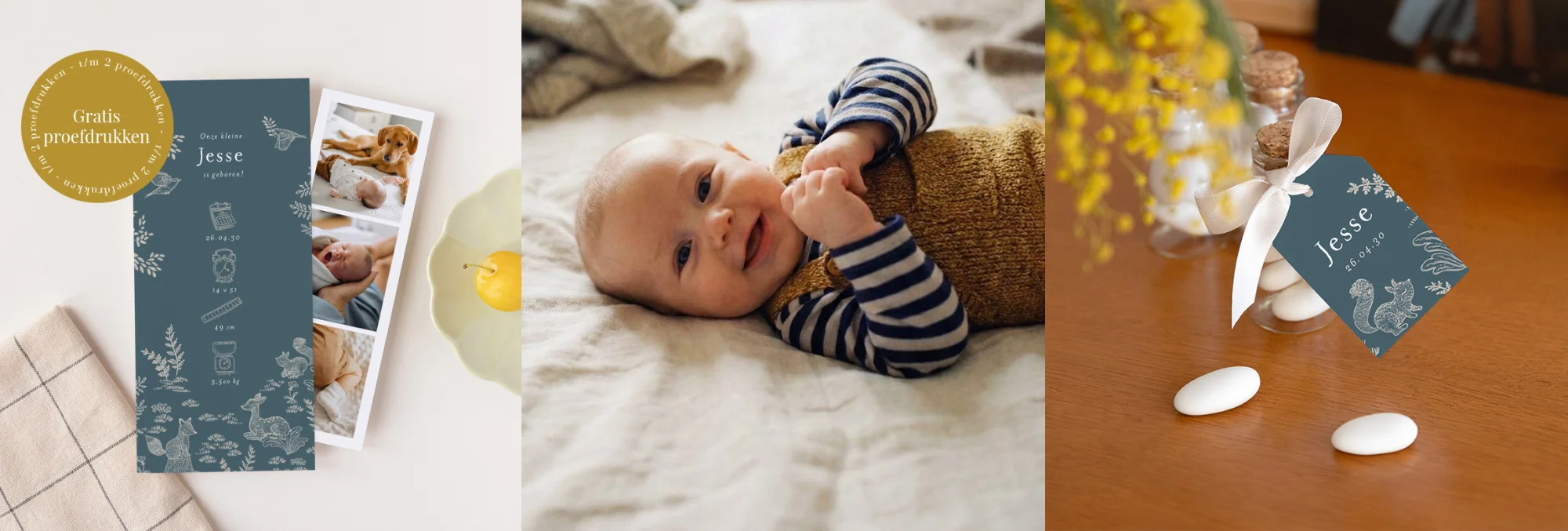 Onze geboortekaartjes van het seizoen