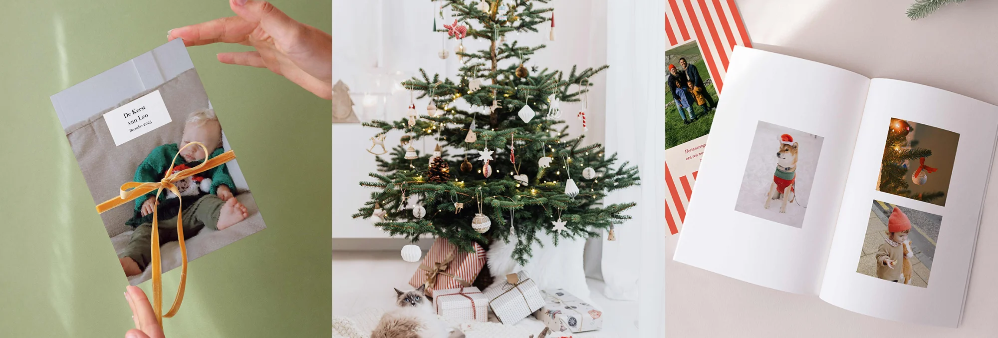 De kleine geluksmomenten van dit seizoen