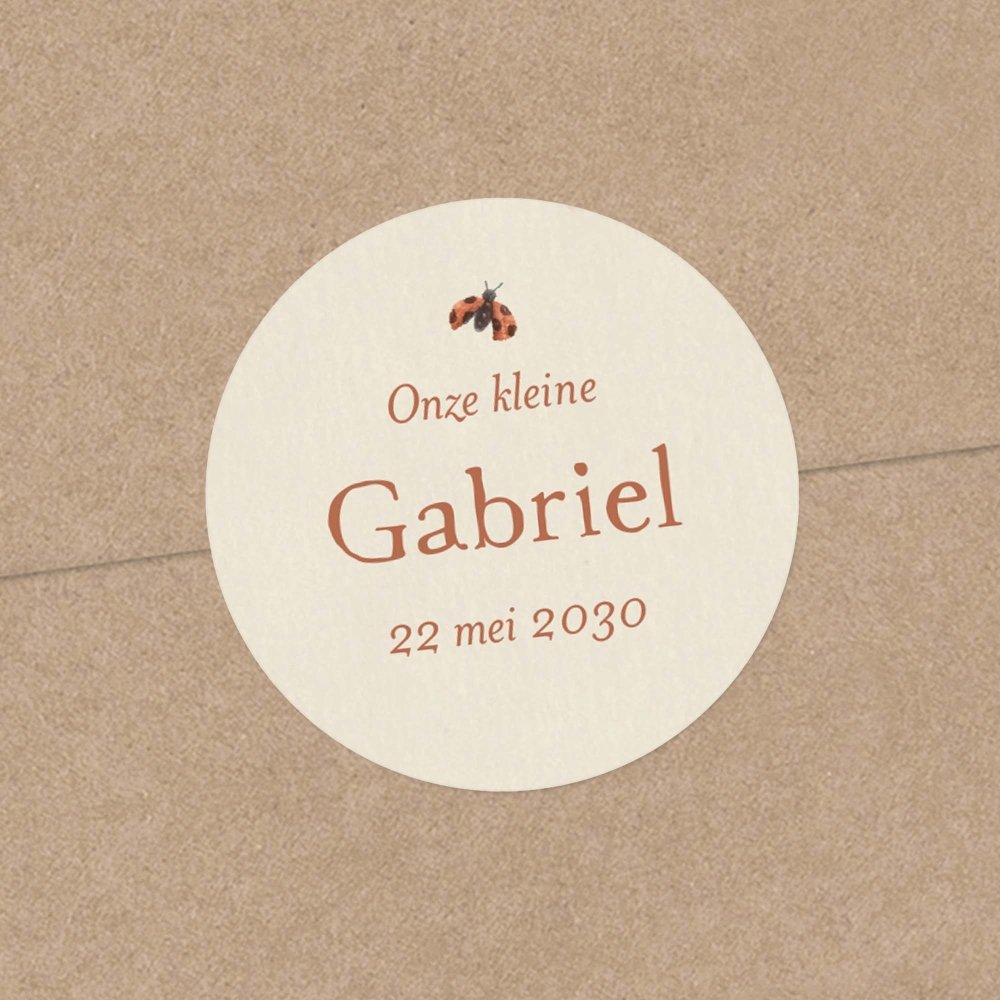 Knabbelwortel