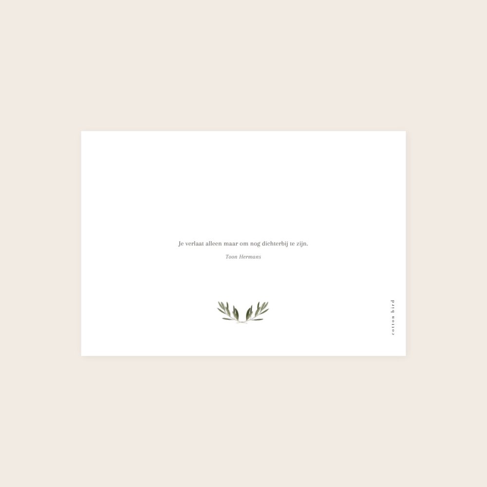 Olea