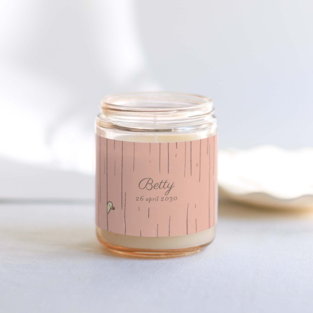 Mijn kleine opera - roze