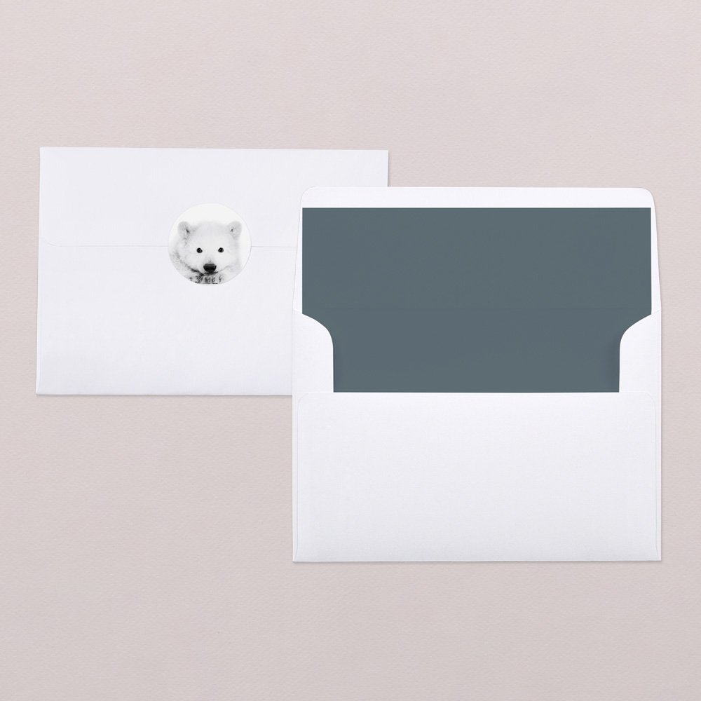 Scandinavian Bear