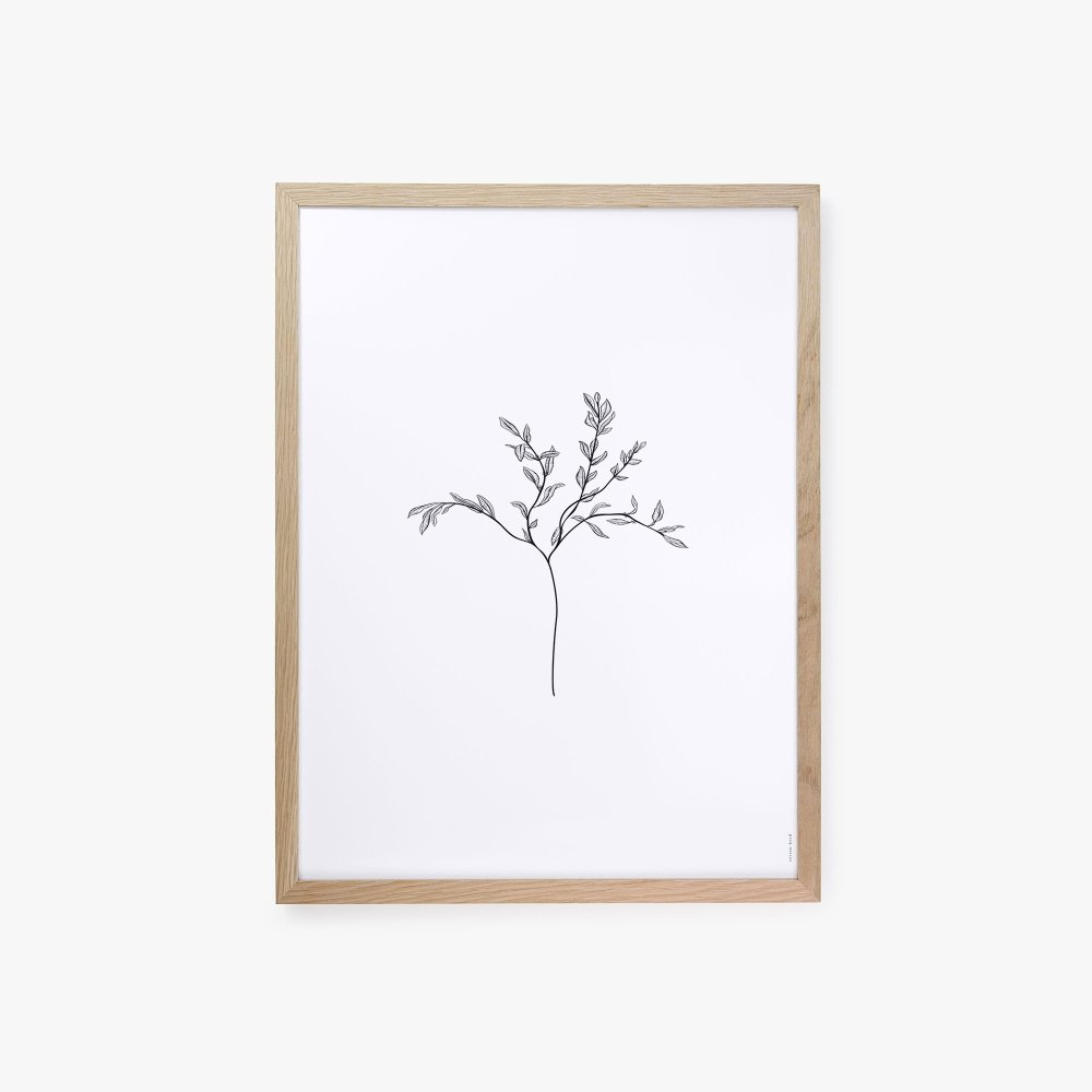 Herbarium White I