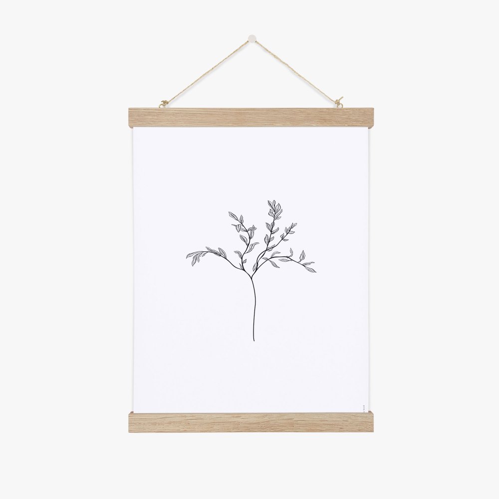 Herbarium White I