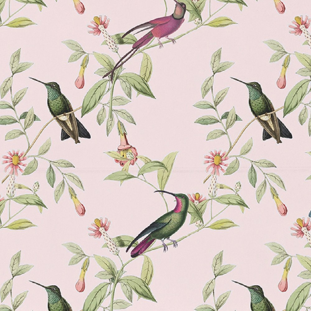 Colibri Pink