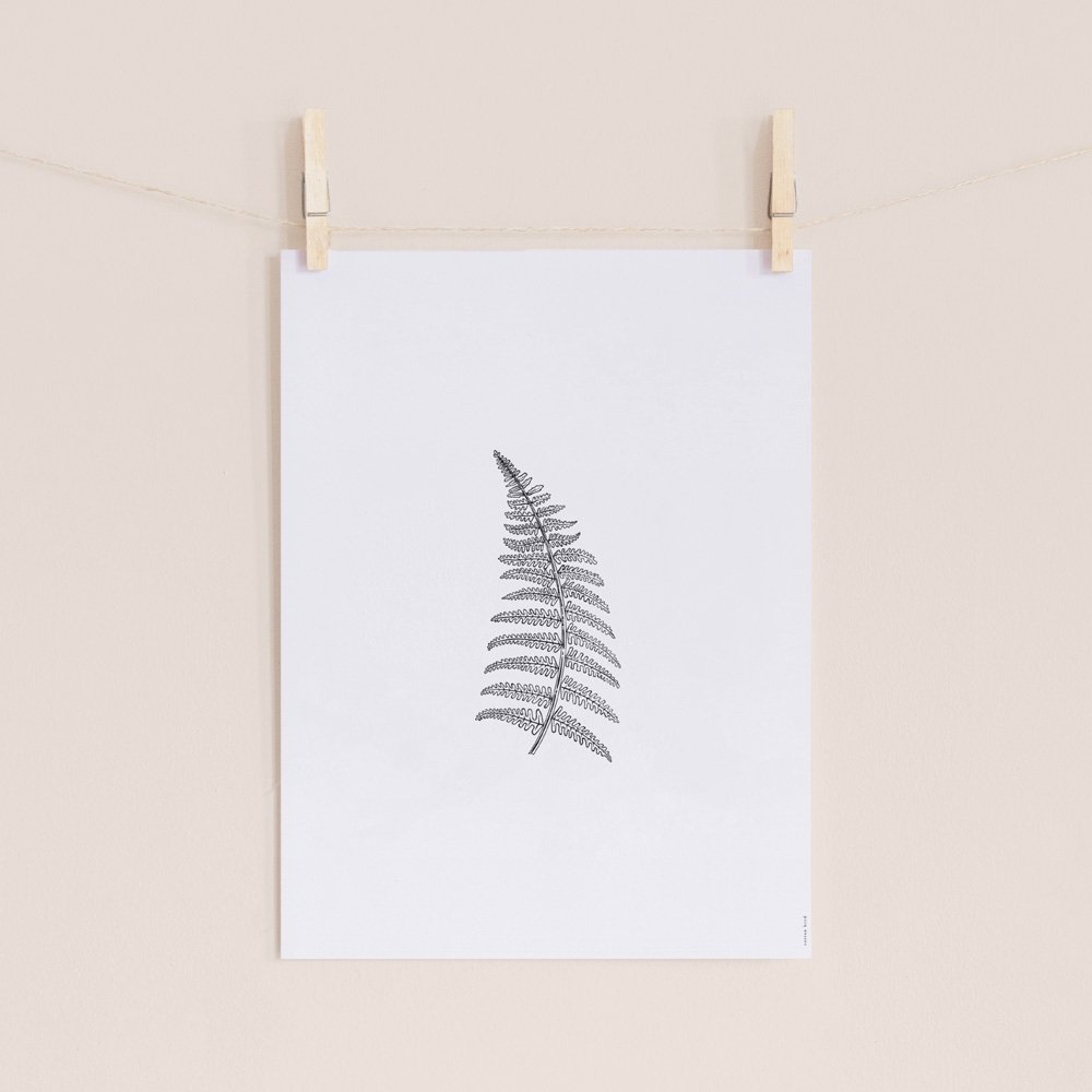 Herbarium White II