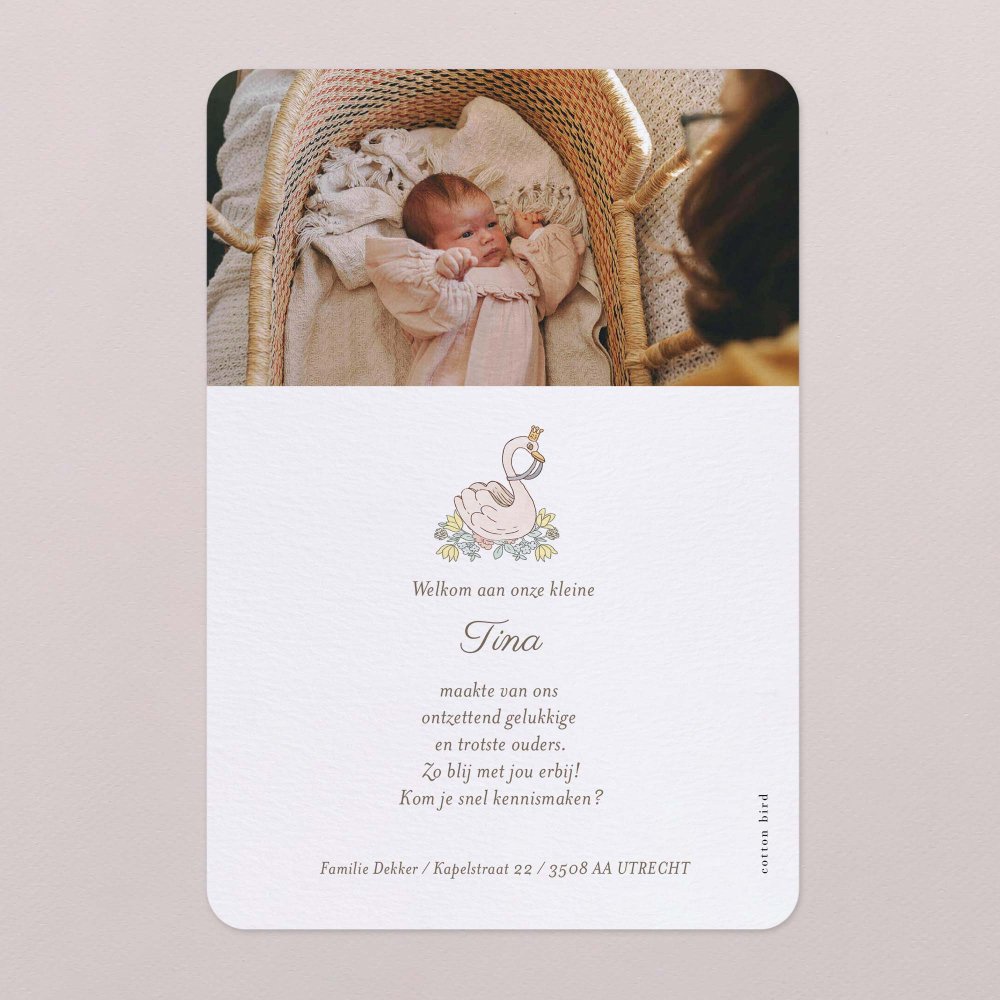 Mijn eerste portret - roze