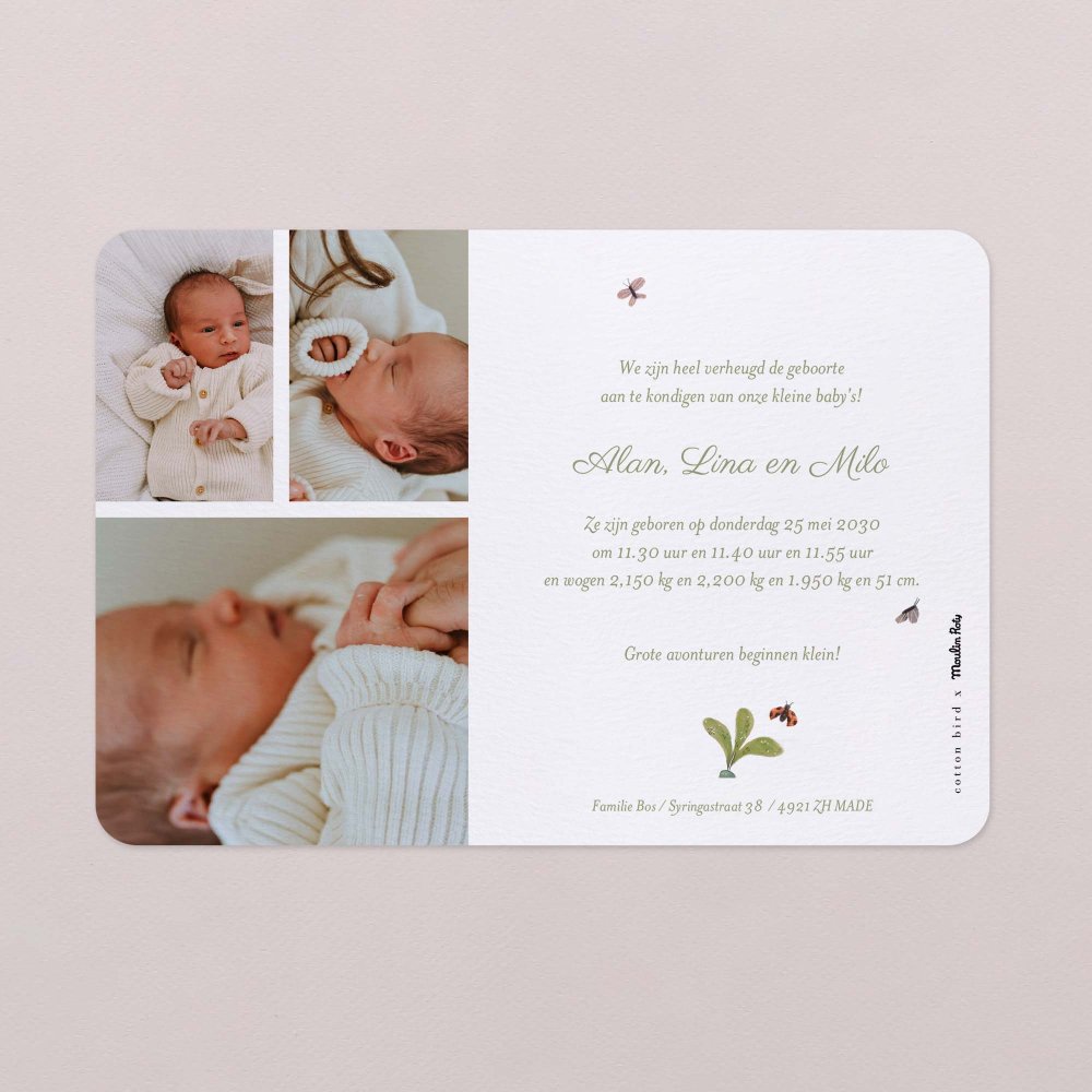 Drie kleine konijntjes