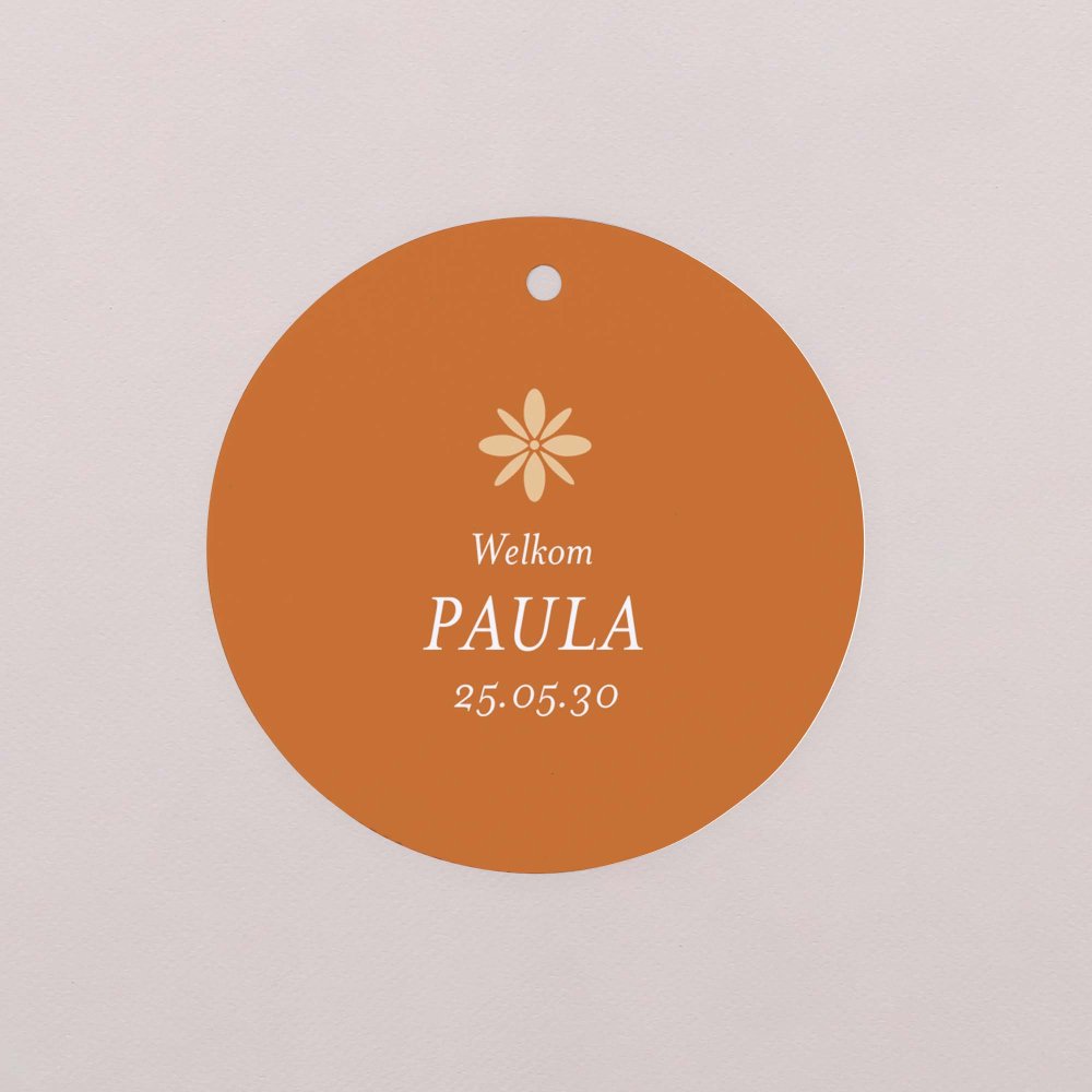 Vintage terracotta