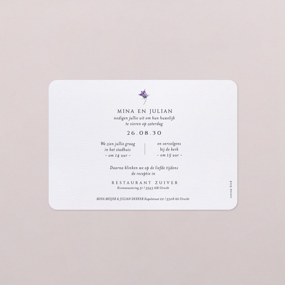 Violetta