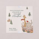 Sneeuwbol - kerstkindje