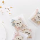 Dogs & dogs - Hazelnut