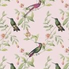 Colibri Pink