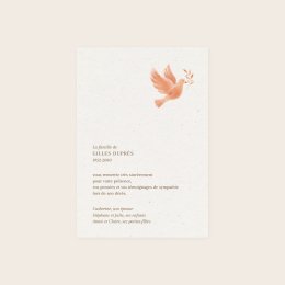 Gezegende vredesduif