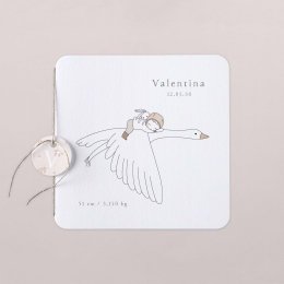 Voyage
