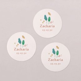Mochica