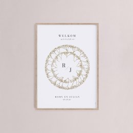 Gypsophila
