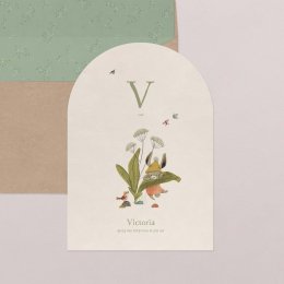 Vlierbloesem