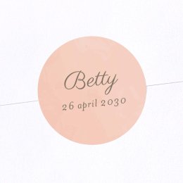 Mijn kleine opera - roze