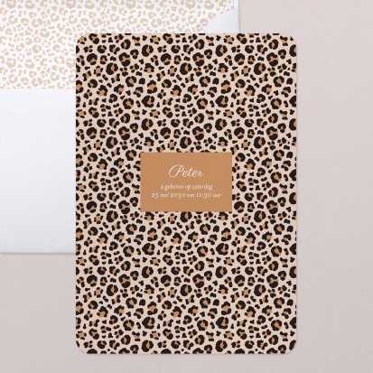 Leopardo