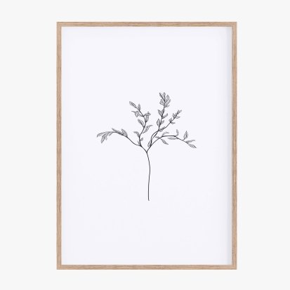 Herbarium White I