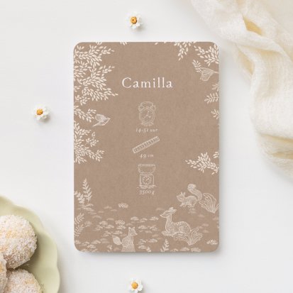 Sleeping Forest - Nature