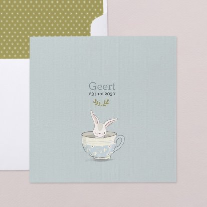 Blue Little Bunny
