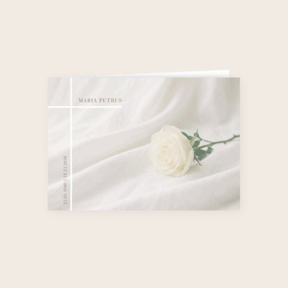 Witte roos