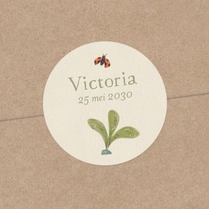 Vlierbloesem