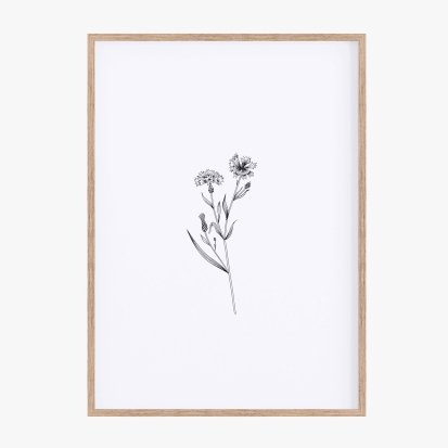 Herbarium White III