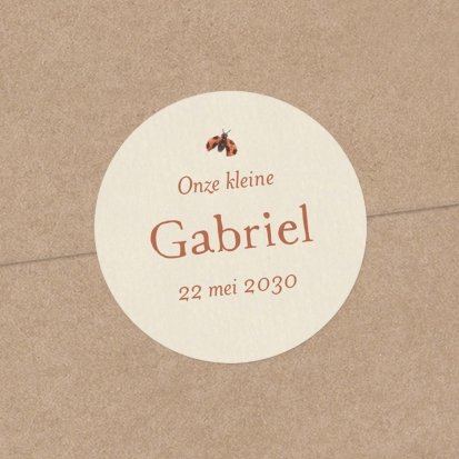 Knabbelwortel