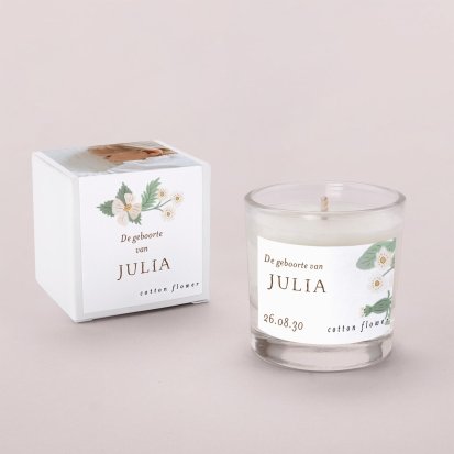 Rosa blanca