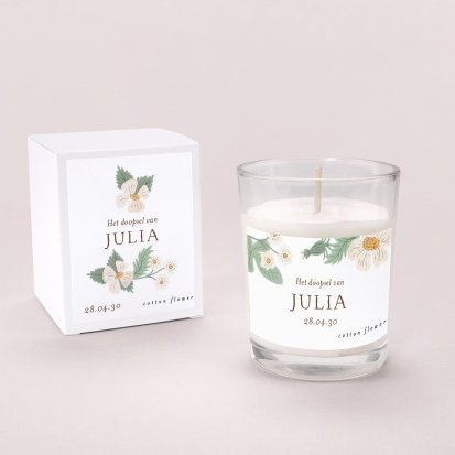 Rosa blanca