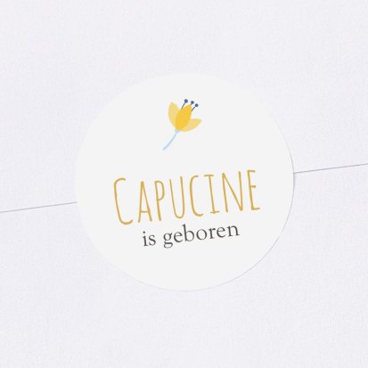 Madeliefje