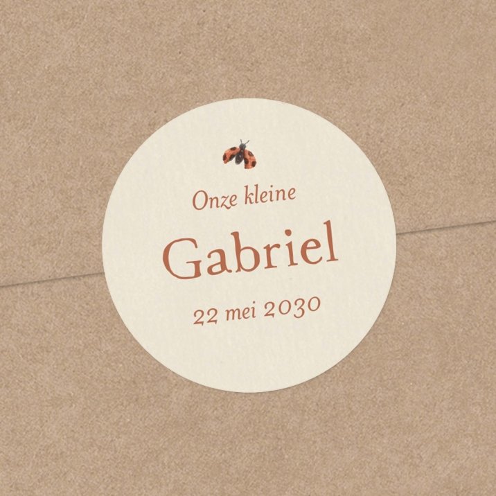 Knabbelwortel