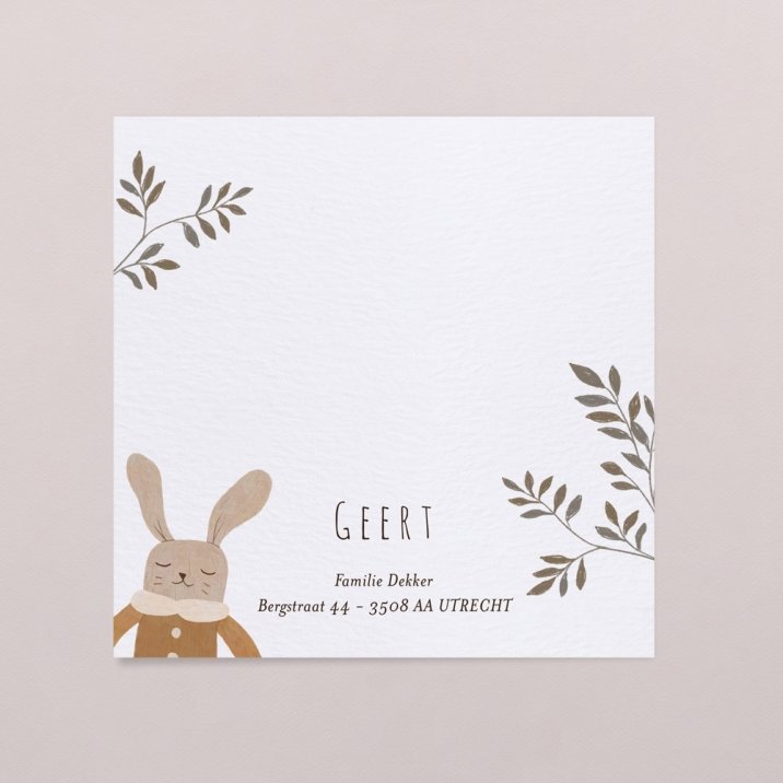 Hello - Bunny