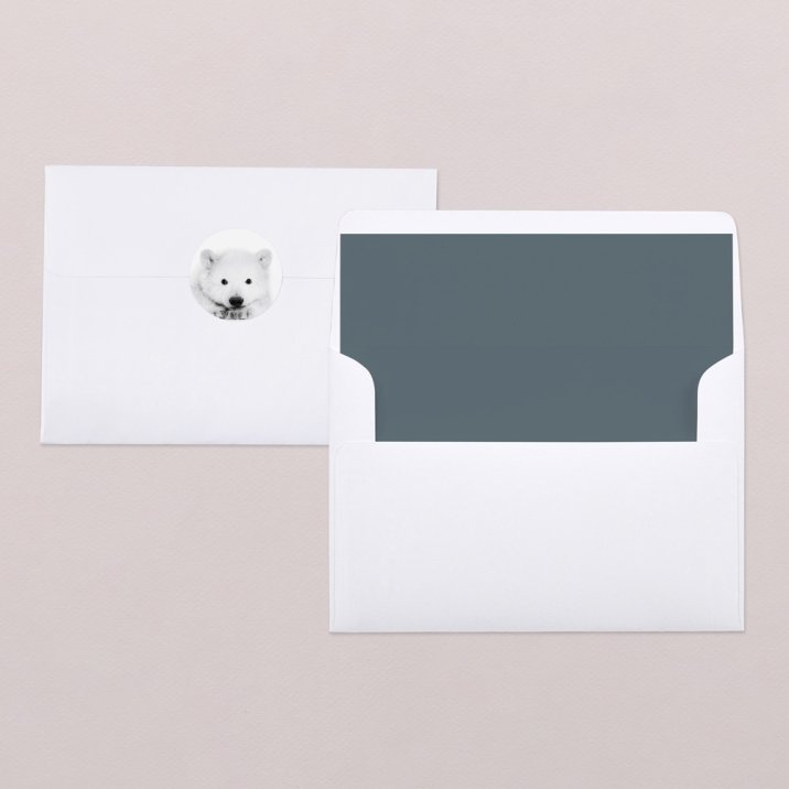 Scandinavian Bear