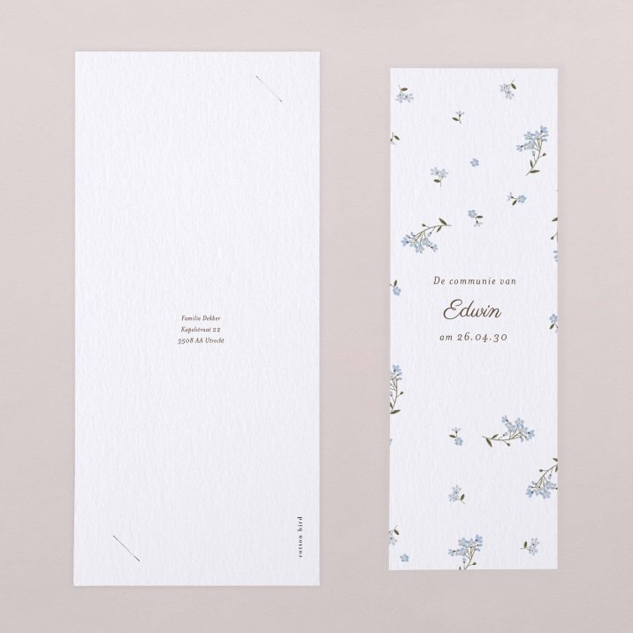 Myosotis