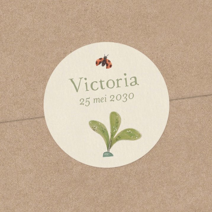 Vlierbloesem