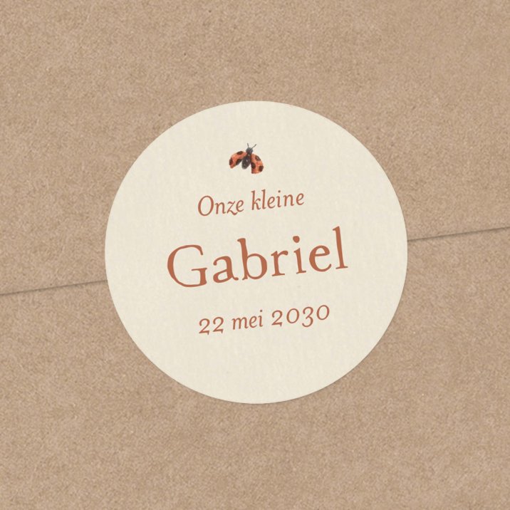 Knabbelwortel