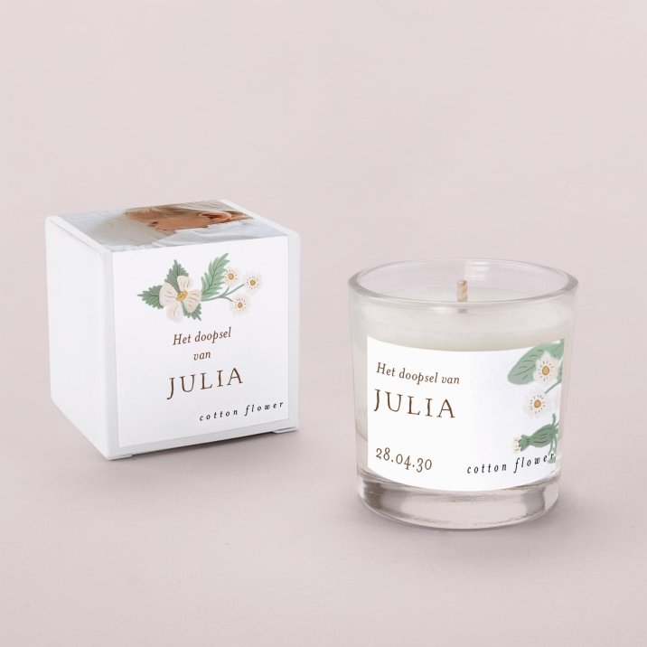 Rosa blanca