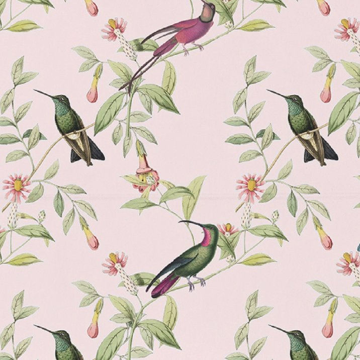 Colibri Pink