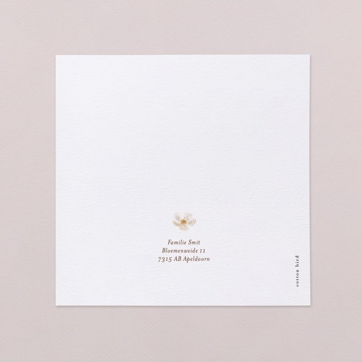Rosa blanca