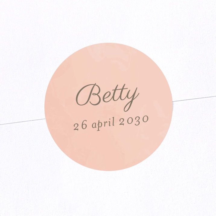 Mijn kleine opera - roze