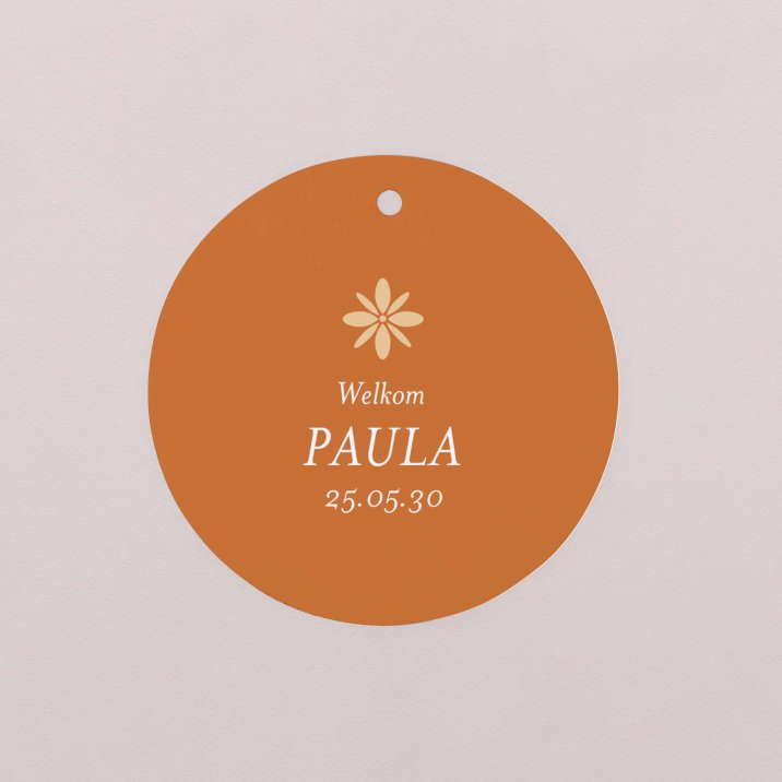 Vintage terracotta